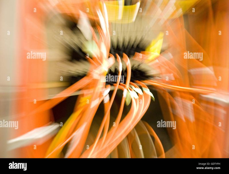Data Patch Panel Stock Photo Alamy - Premium Sunset Art Gallery - HD