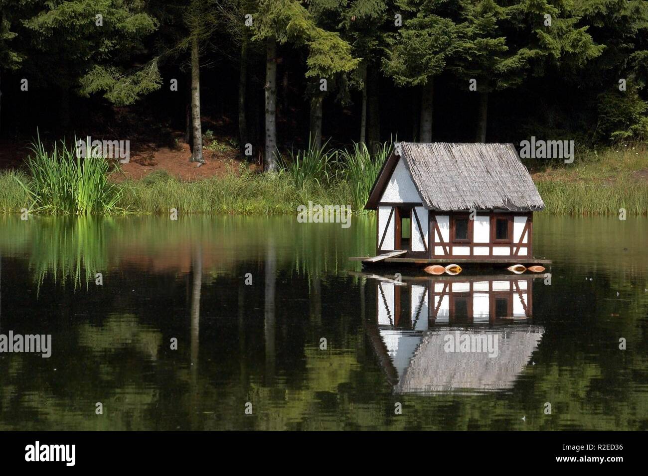 Entenhausen hi-res stock photography and images