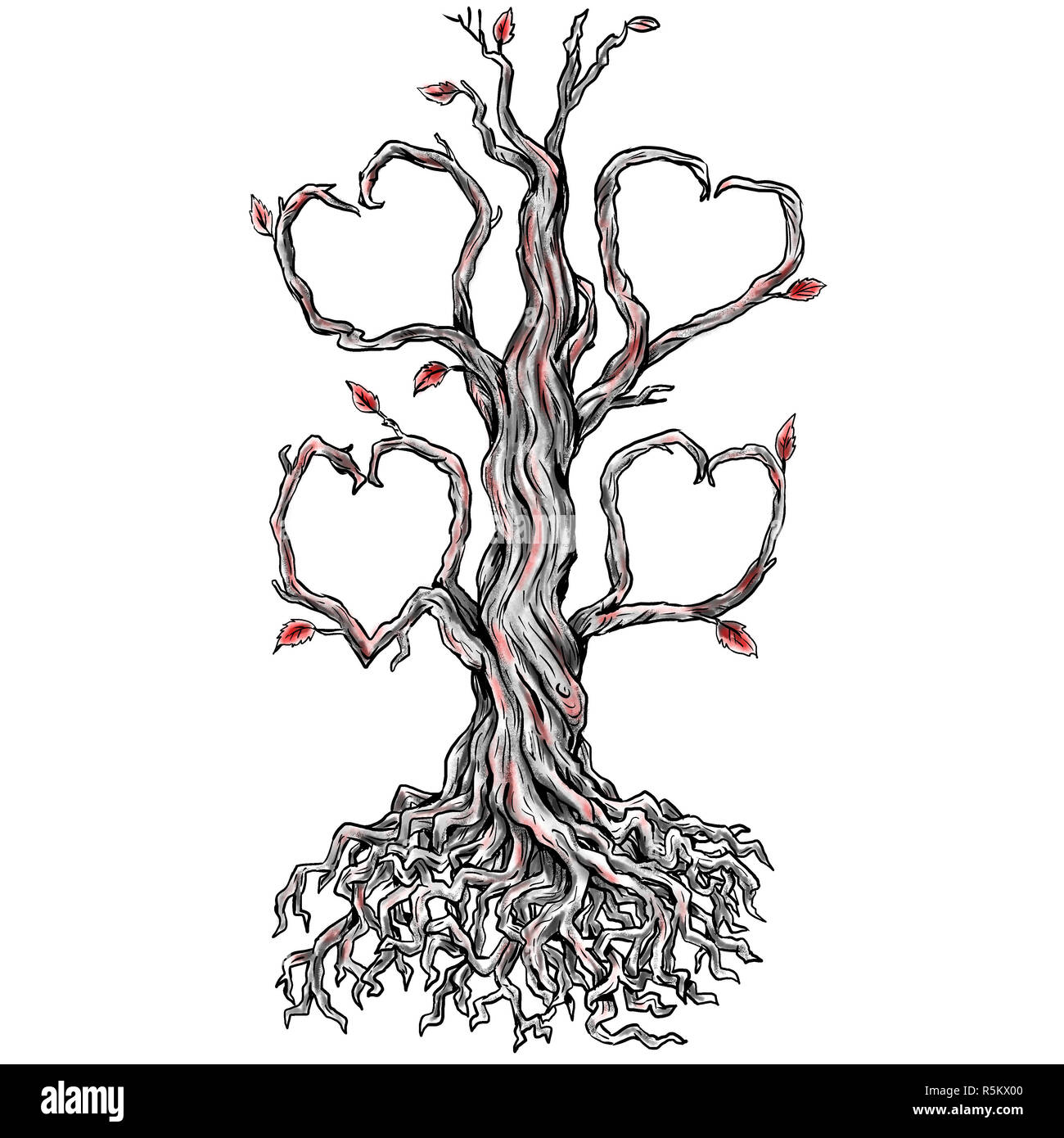 Oak Tree Line Drawing High Resolution Stock Photography And Images - Alamy 1390_x_1300_jpg