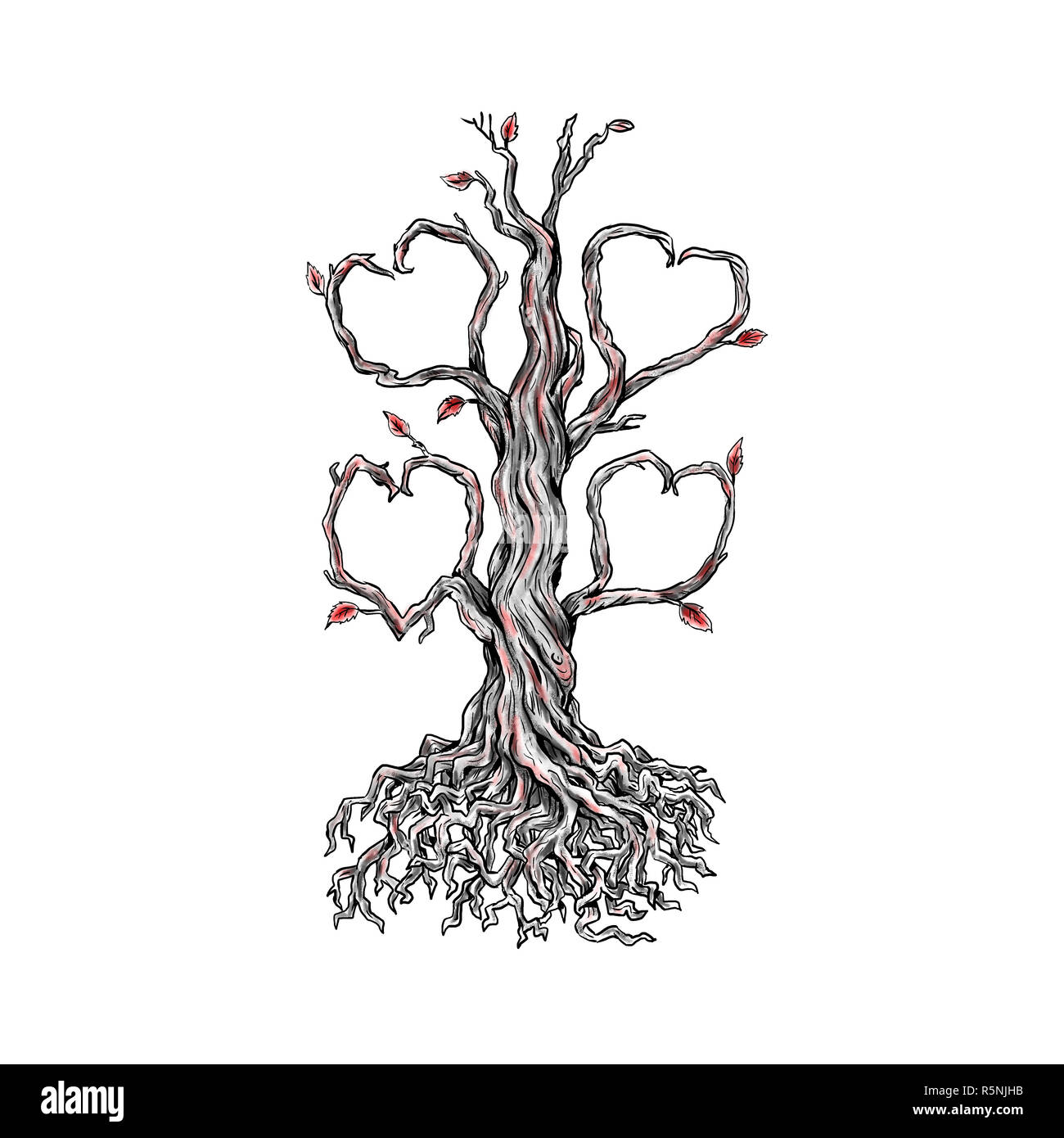 Oak Tree Line Drawing High Resolution Stock Photography And Images - Alamy 1390_x_1300_jpg