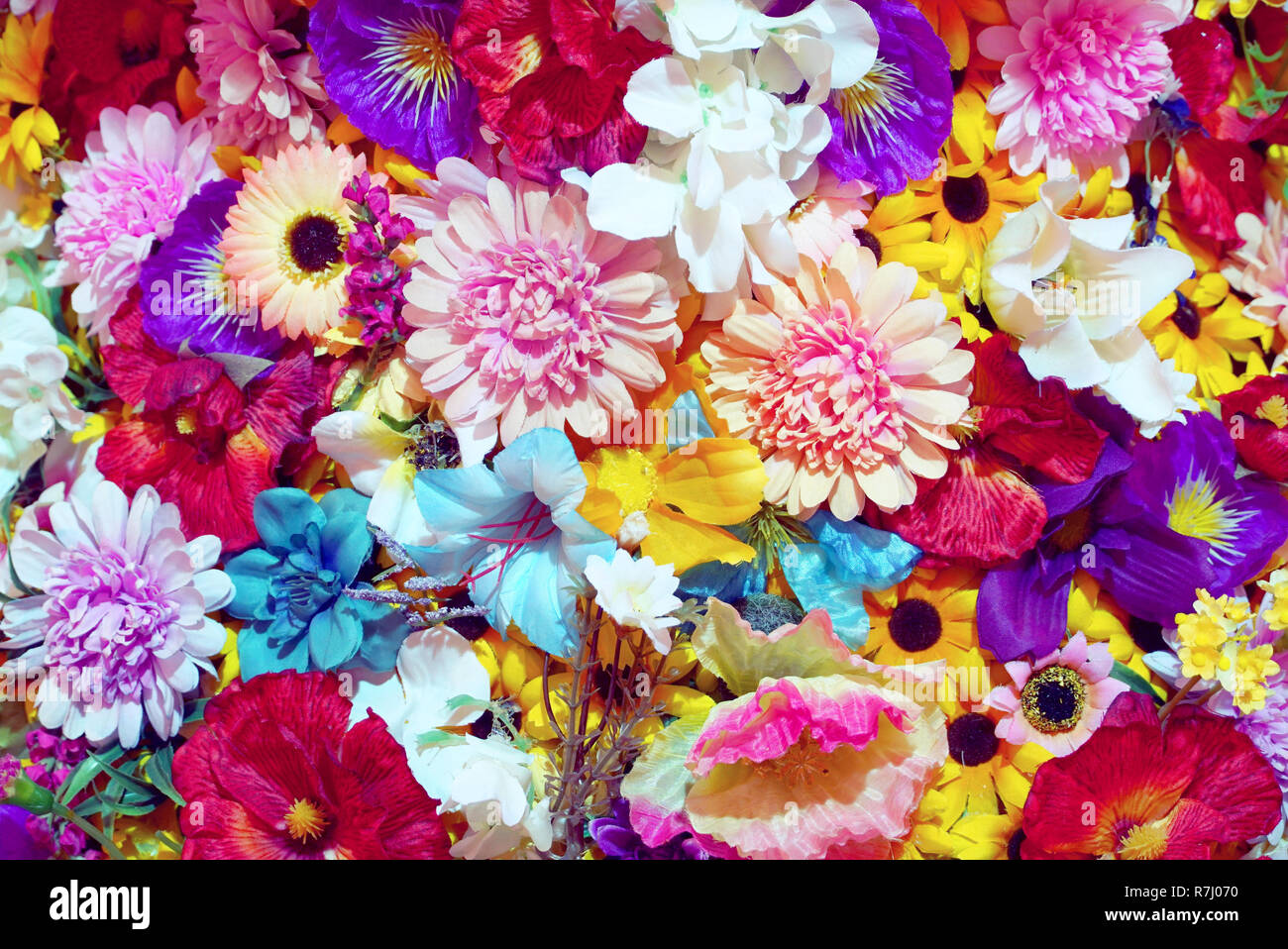 Find over 100+ of the best free bright flowers images. Colorful Flower Background Stock Photo Alamy