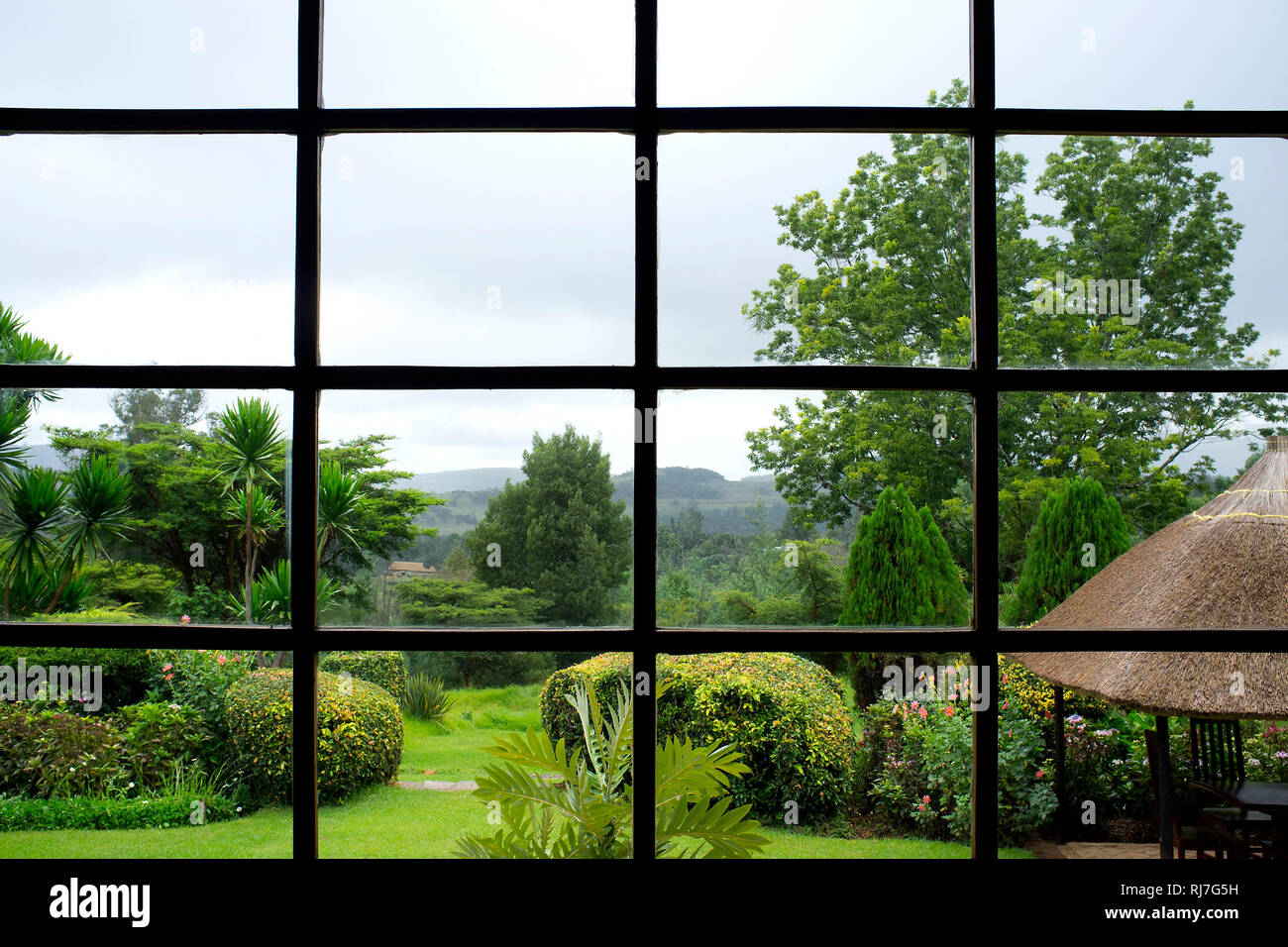 Fototapeten Fenster Grosse Der Wand Myloview De