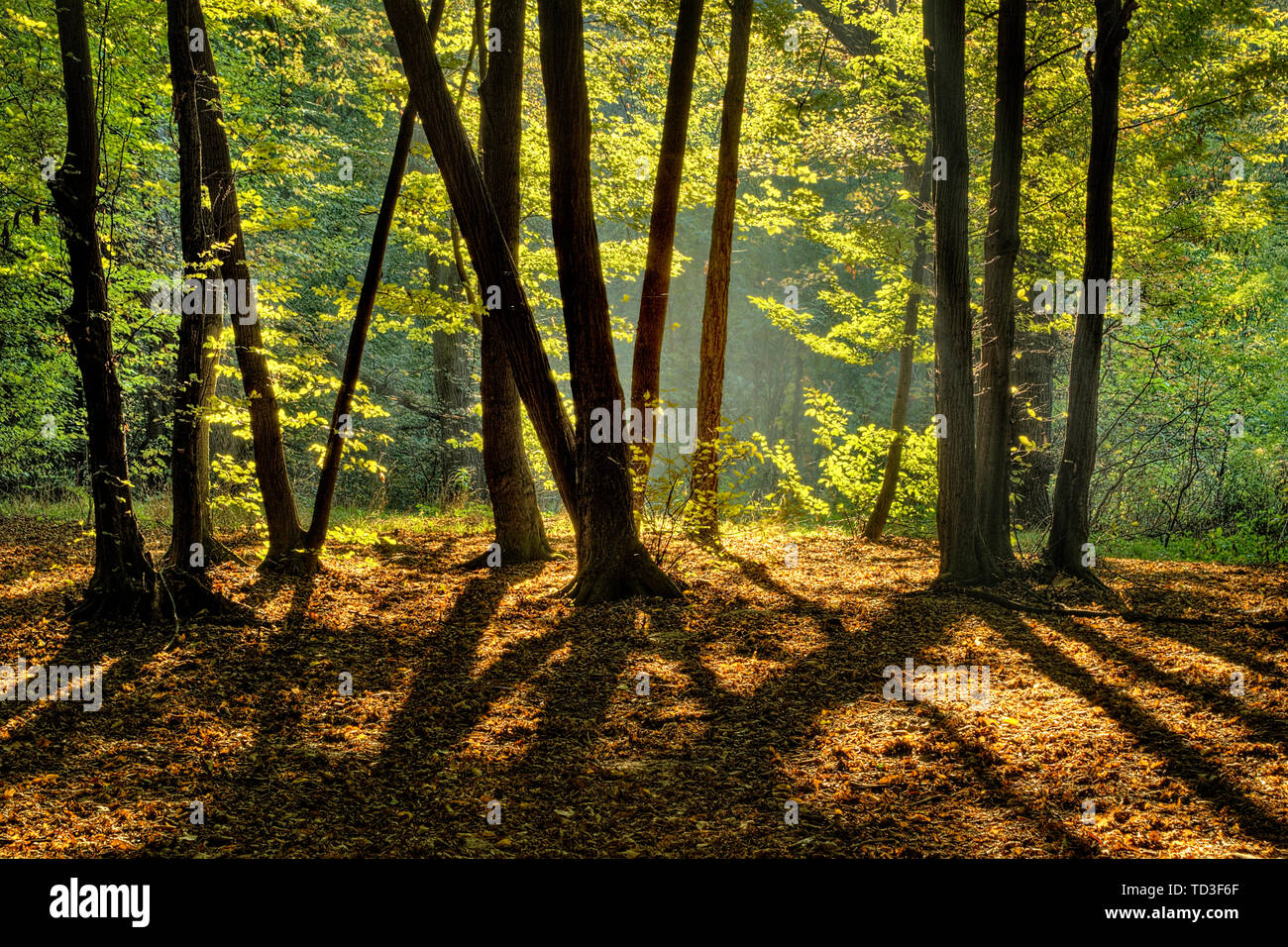 Environment sunny hi-res stock photography and images