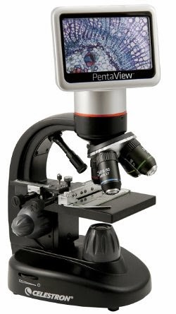 Léa note toutes les heures les résultats de son … Léa nous donne quelques conseils pour bien entretenir son microscope