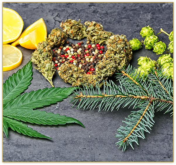 CAANU Medical Cannabis