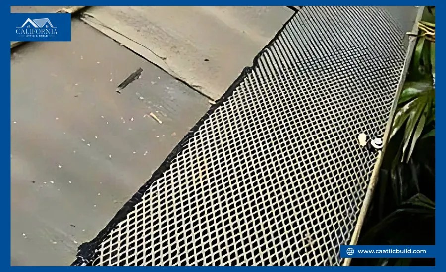 How to rid rodents from attic quickly and safely