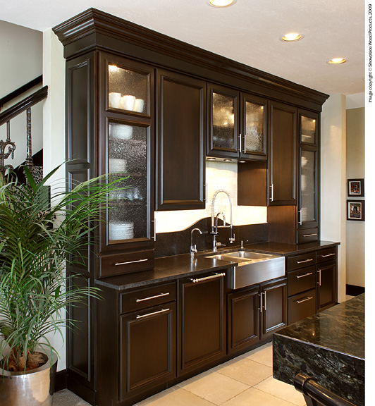 Glass Front Cabinets - Transitional - kitchen - Anne ...