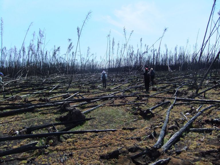 A Northwest Territories wildfire burn area