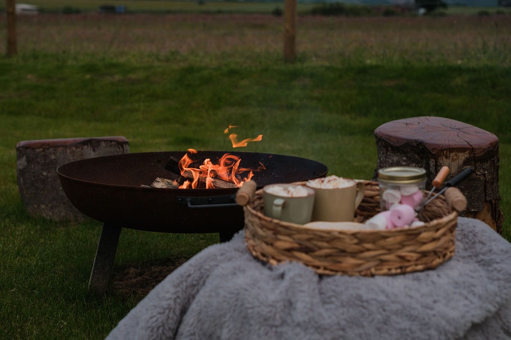 Roasting Marshmallows over the fire pit