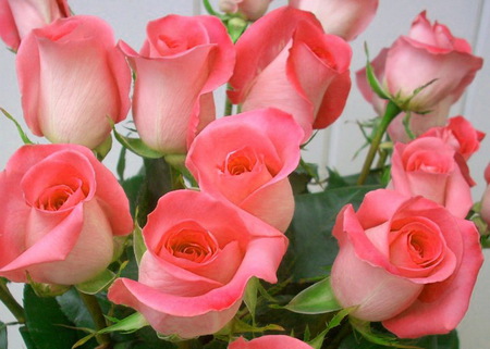 Image result for missing someone flower