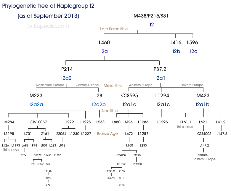 Arbore filogenetic de I2 haplogroup (Y-DNA) - Eupedia Arbore filogenetic de I2 haplogroup (Y-DNA) - Eupedia