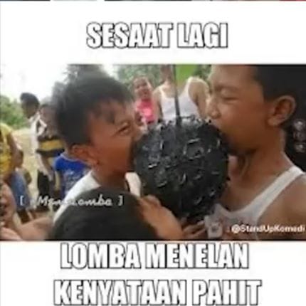 Waduh V Lahelu - Premium Nature Pattern Gallery - 4K