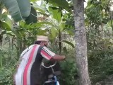 Meme Random Lahelu