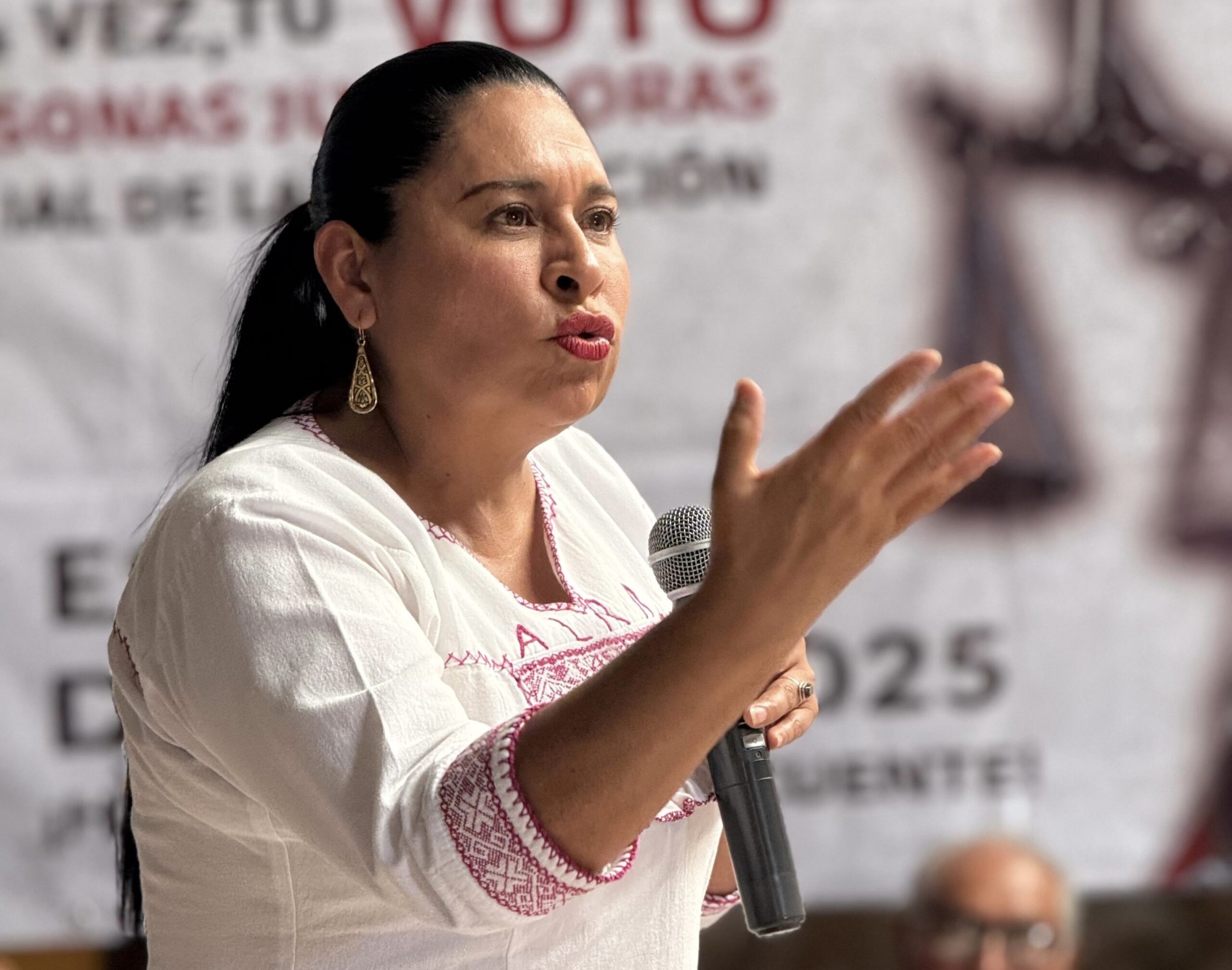 Llama Ana Lilia Rivera a tlaxcaltecas a votar para elegir nuevos integrantes del Poder Judicial