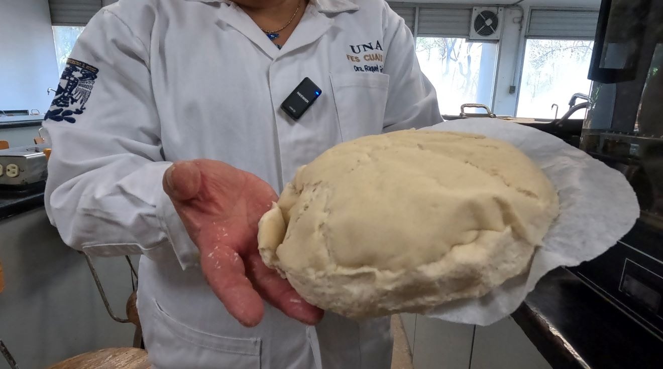 Desarrolla UNAM Supertortilla contra la desnutrición