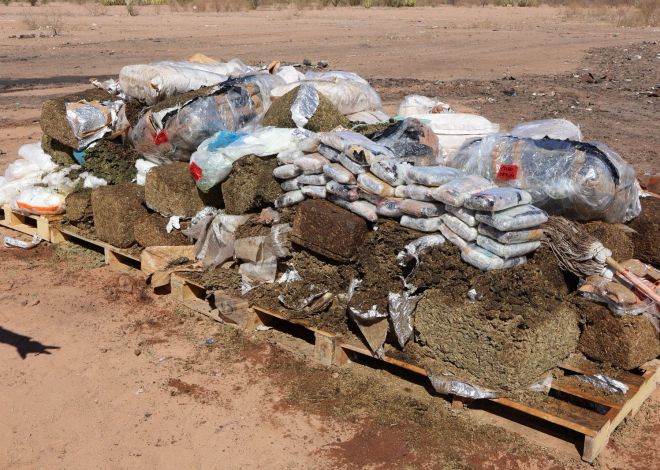 FGR incinera cerca de una tonelada de narcóticos en Sonora