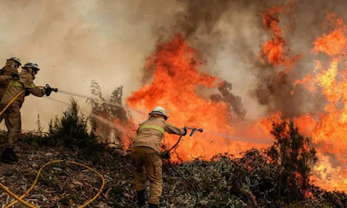 San Luis Potosí enfrenta crisis por aumento de incendios forestales: reportan nueve activos