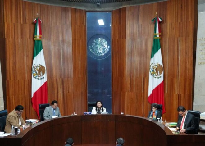 El TEPJF nos dará la razón para promover la elección del PJF: Ricardo Monreal
