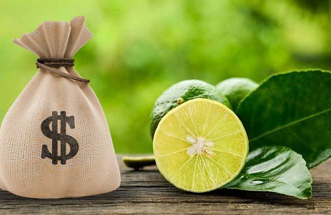 Profeco revela el precio promedio del limón para esta Semana Santa