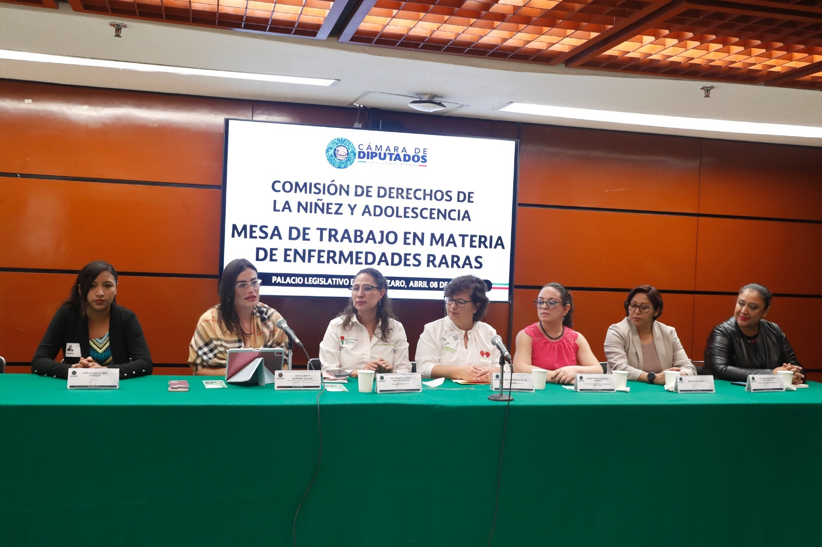 Buscan diputadas visibilizar enfermedades raras en niños para su atención