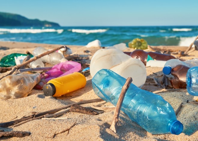 Necesario mayor compromiso del gobierno para proteger zonas turísticas de contaminación ambiental