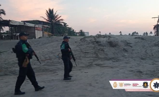 Vigilan anidación de tortugas en Acapulco