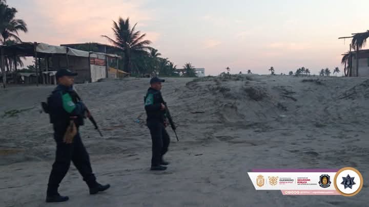 Vigilan anidación de tortugas en Acapulco