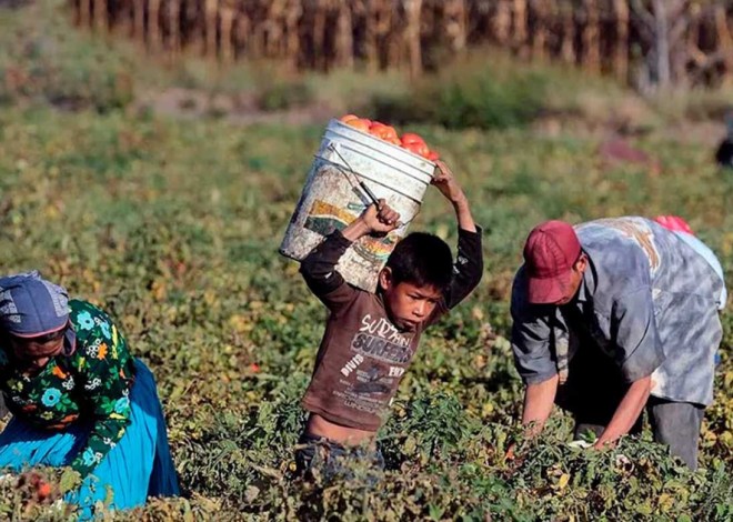 Casi 4 millones de niñas y niños trabajan en México: INEGI