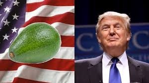 Aumenta la inversión y la confianza de productores agrícolas en EEUU: Casa Blanca