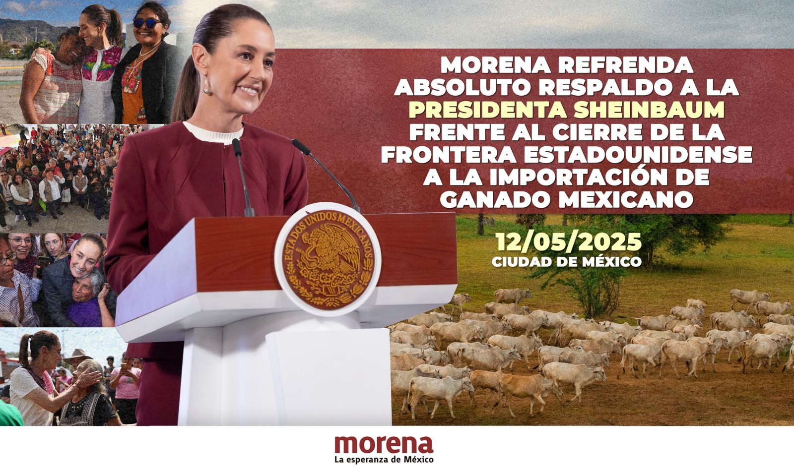 Condena el CEN de Morena la actitud del gobierno de EEUU por el cierre de su frontera al ganado mexicano