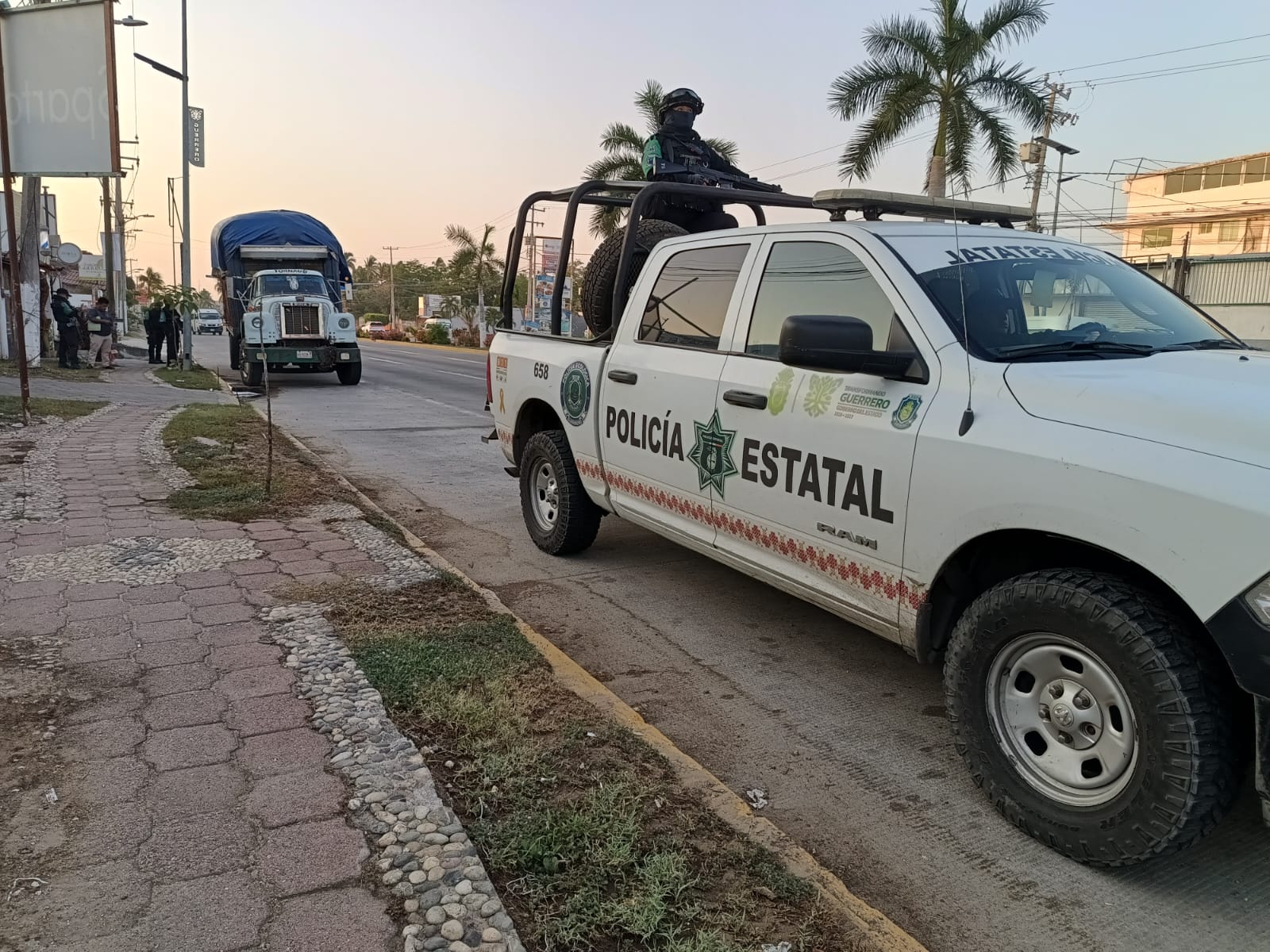 Asegura SSP Guerrero ocho mil ejemplares de palma real en Acapulco