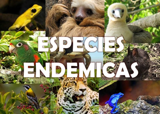 Están en peligro de extinción 95% de especies endémicas por el cambio climático, advirtió Julia Carabias