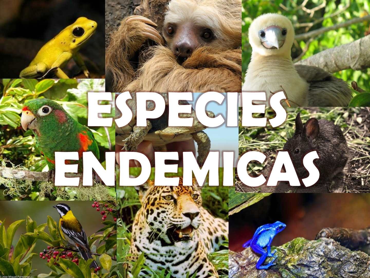 Están en peligro de extinción 95% de especies endémicas por el cambio climático, advirtió Julia Carabias