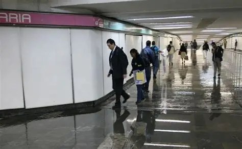 Colapsa Línea 8 por las lluvias: ¿Qué estaciones están sin servicio hoy lunes?