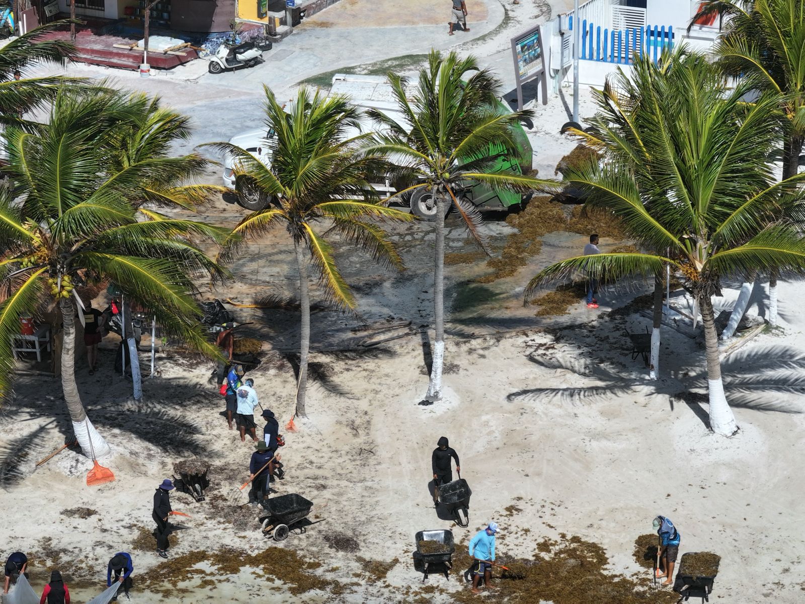 Mediante la Operación Sargazo 2025, la Secretaría de Marina en coordinación interinstitucional protege los Intereses Marítimos Nacionales