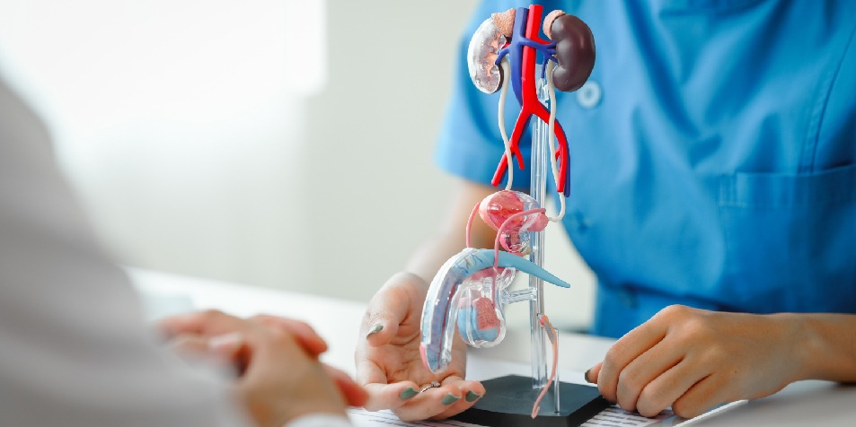 México ocupa el primer lugar mundial en casos de cáncer de próstata