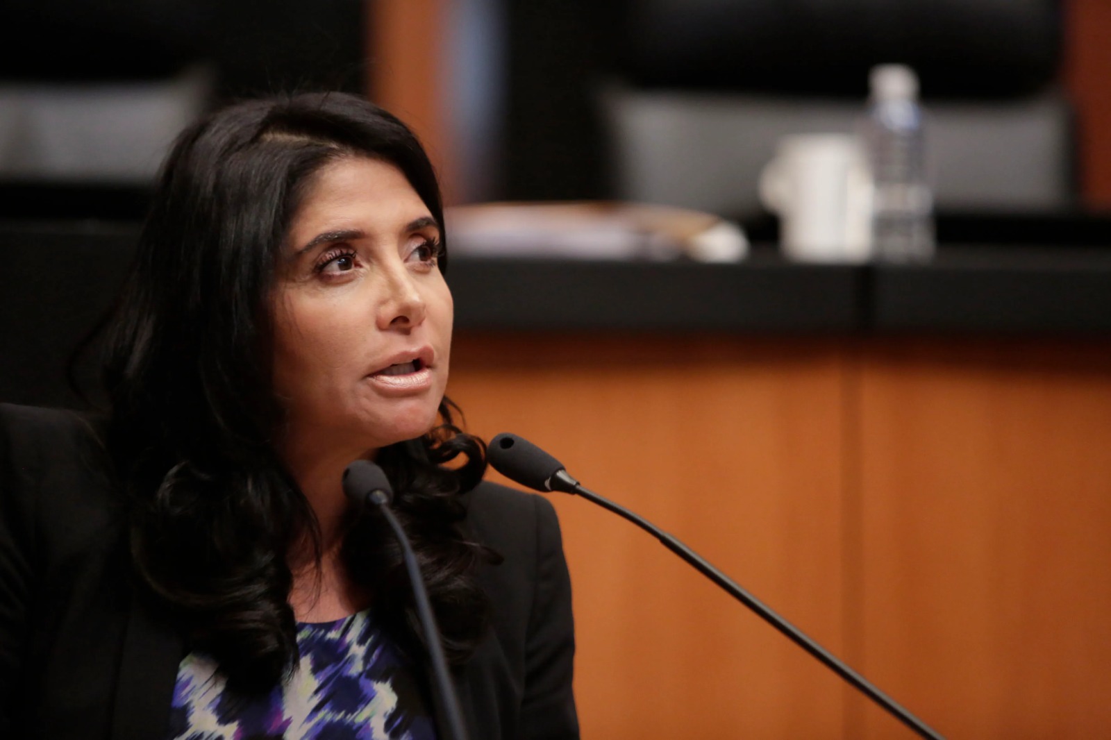 Exige Alejandra Barrales que la SRE informe de madres e hijos separados durante las redadas en EEUU
