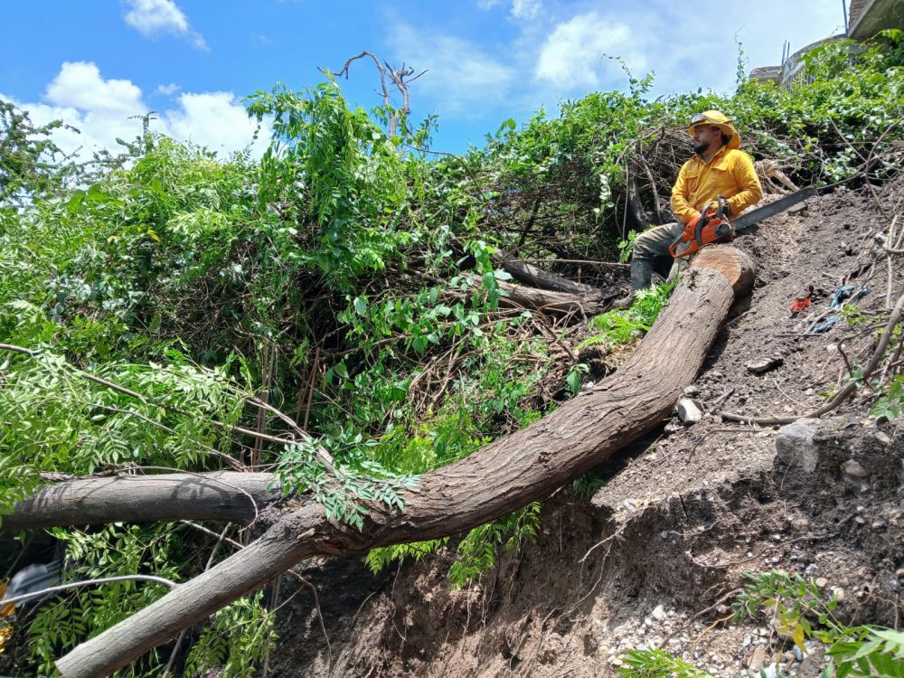 Retiran árboles y lodo tras tormenta en Chilpancingo; continúa apoyo a familias afectadas