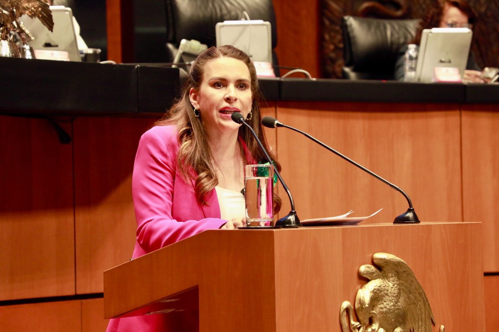 Los perdedores en las elecciones son morena y Andy López Beltrán, asegura la senadora Carolina Viggiano.