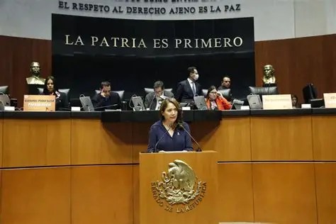 Persistente desabasto de medicamentos pone en riesgo la vida de millones: Ivideliza Reyes exige comparecencia de autoridades federales