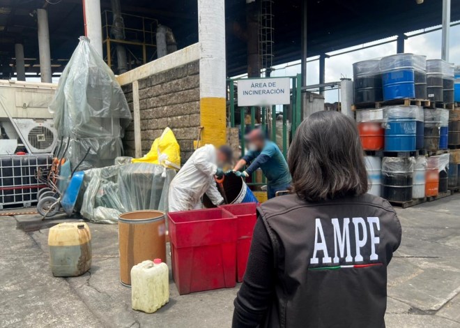 FGR inhabilita drogas y químicos en gran operativo