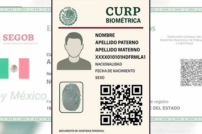De Frente y de Perfil