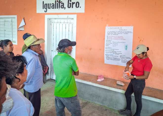 Impulsan agricultura sostenible con taller de siembra de maíz en Igualita