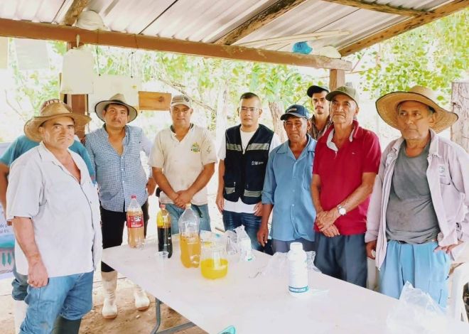 Capacitan a productores de mango en Costa Grande para controlar plagas y mejorar cultivos