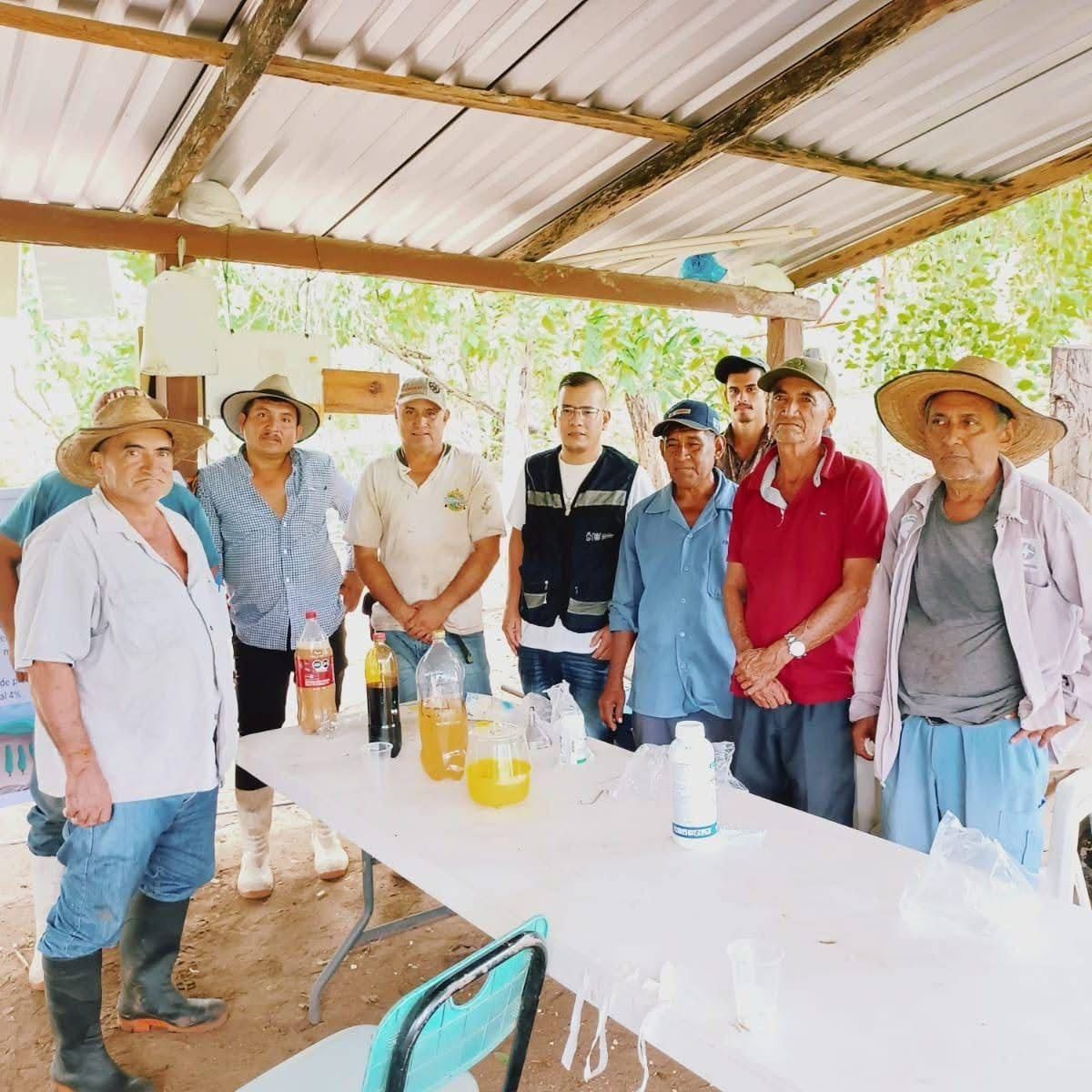 Capacitan a productores de mango en Costa Grande para controlar plagas y mejorar cultivos
