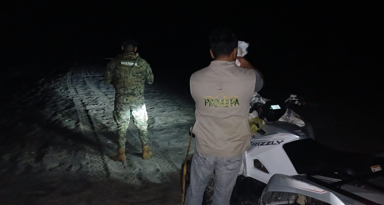 Marina en coordinación con PROFEPA aseguran más de 5 mil huevos de tortuga golfina en Playa Morro Ayuta, Oaxaca