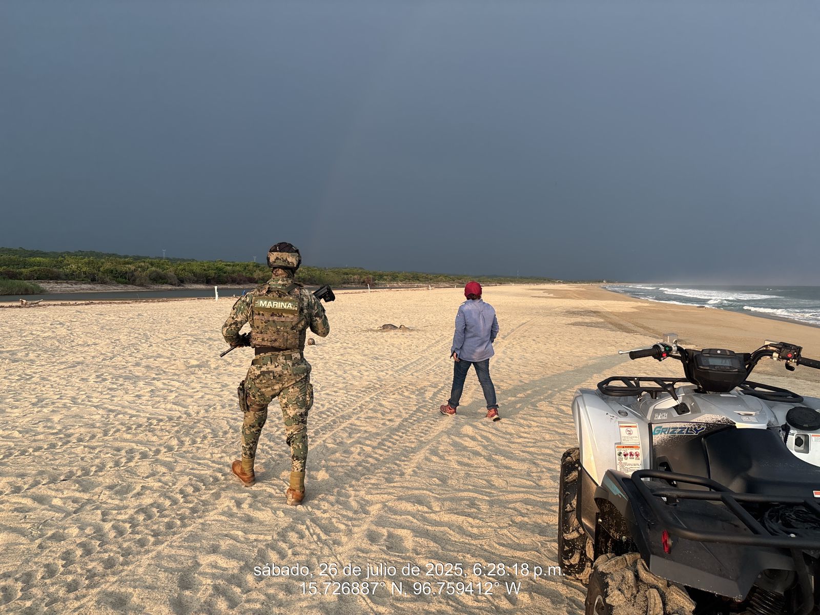 Marina brinda seguridad durante la primer arribazón de tortugas marinas en Escobilla, Oaxaca