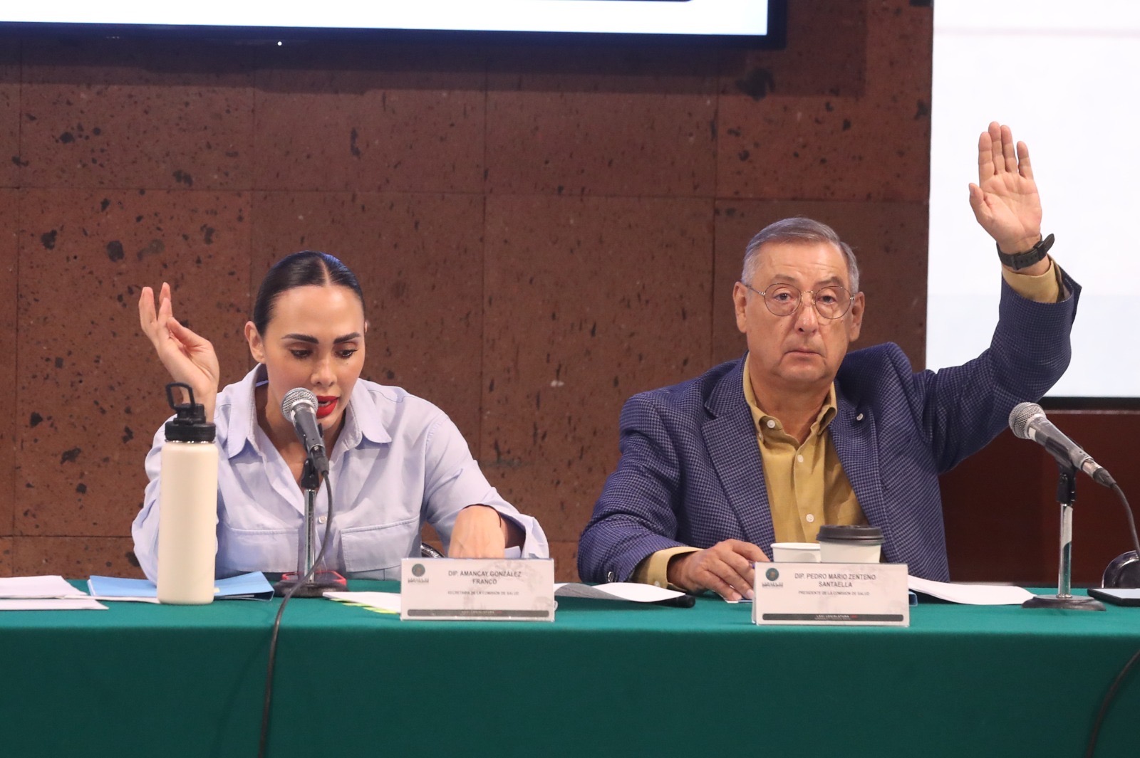 Diputados prevén convocar a titulares de Salud, IMSS, ISSSTE e IMSS-Bienestar para abordar crisis hospitalaria y de medicamentos