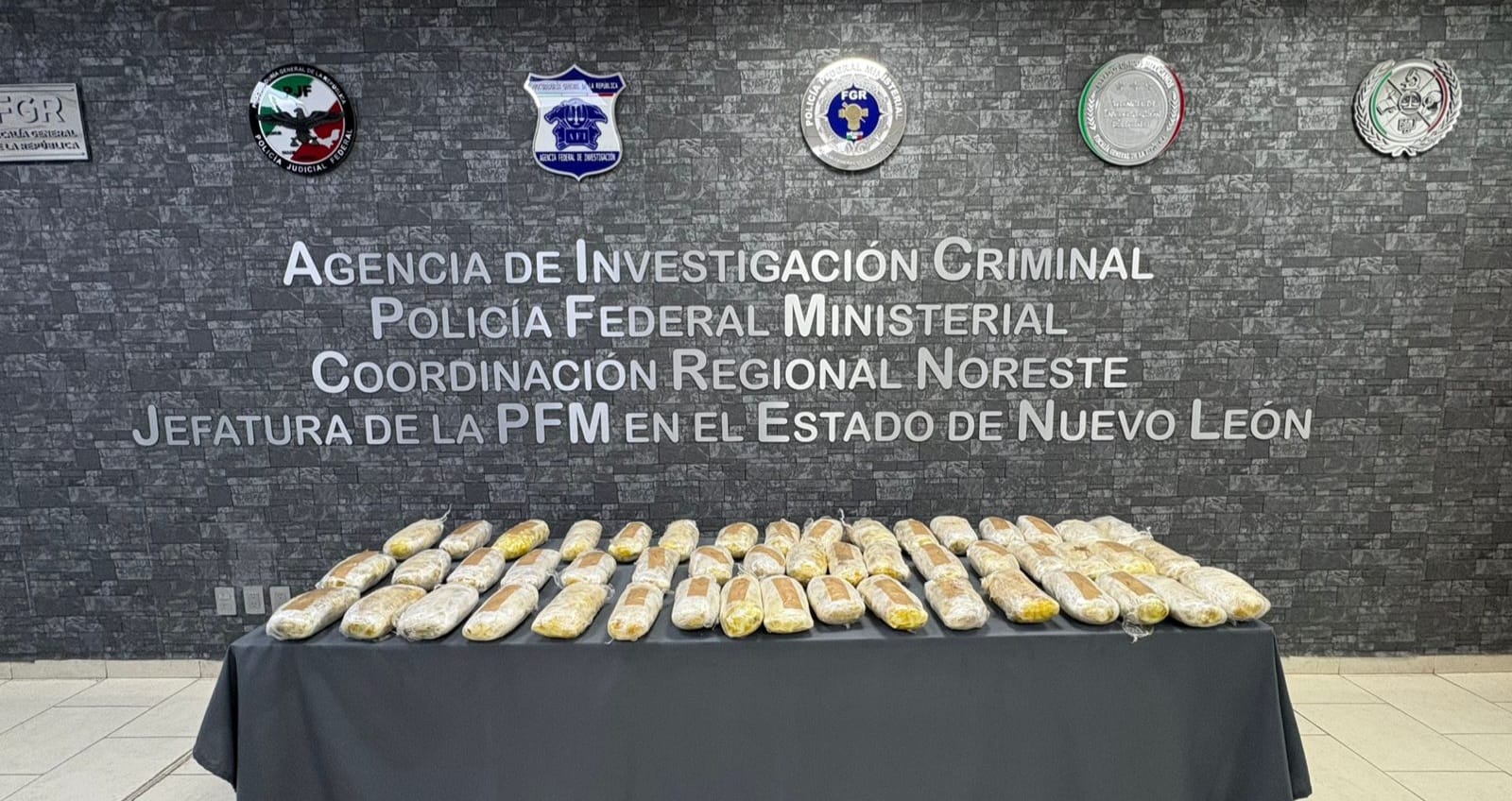 PFM asegura 50 kilos de metanfetamina y detiene a un hombre en Linares, Nuevo León