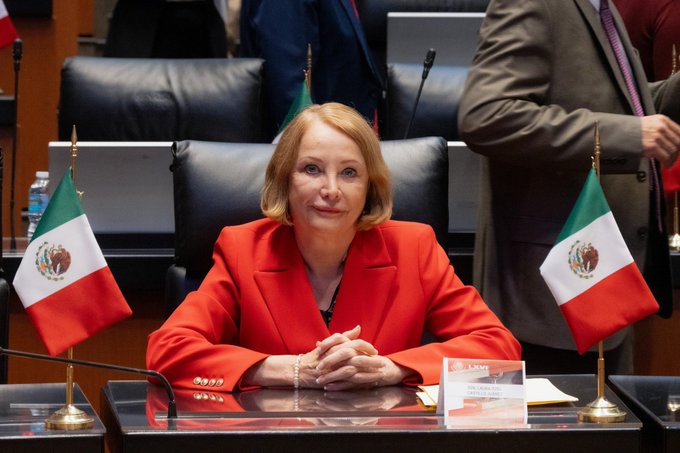 ¿Quién es Laura Itzel Castillo, la nueva presidenta del Senado?